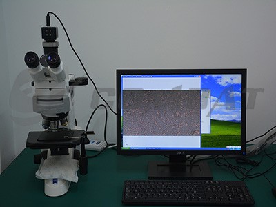 Metallographic Analyzer