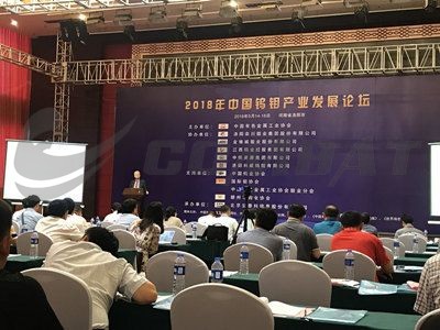 China tungsten and molybdenum industry development forum was successfully held in 2018.